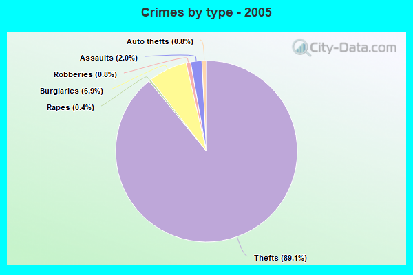 Crimes by type - 2005