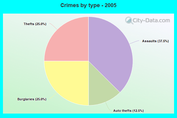 Crimes by type - 2005