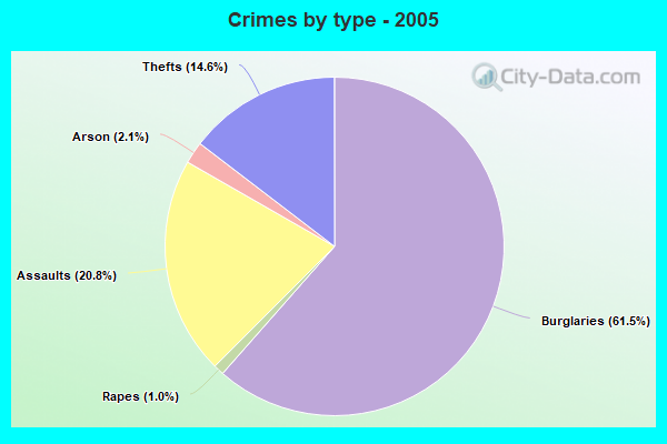 Crimes by type - 2005