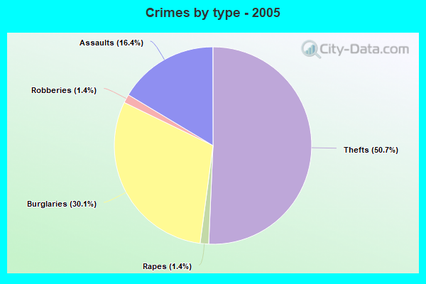 Crimes by type - 2005