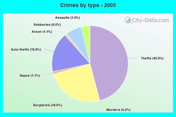 Crimes by type - 2005