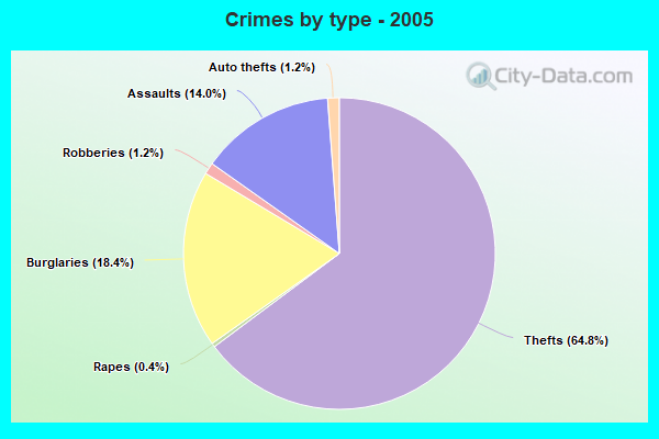 Crimes by type - 2005