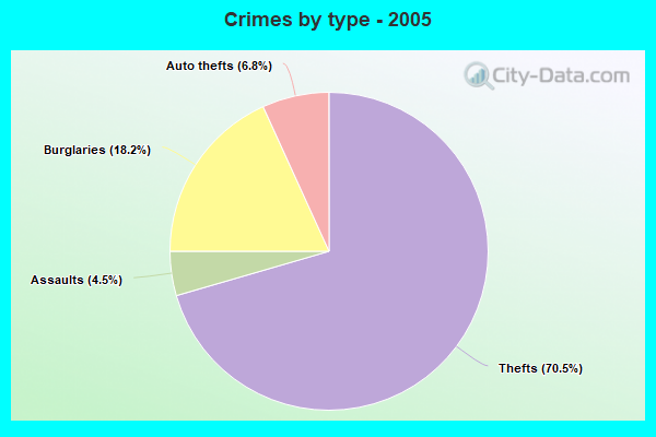 Crimes by type - 2005