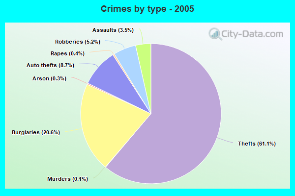 Crimes by type - 2005