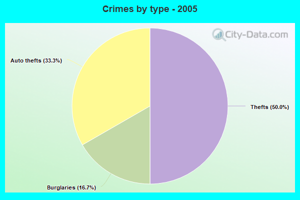 Crimes by type - 2005