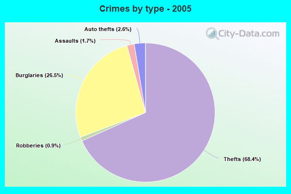 Crimes by type - 2005