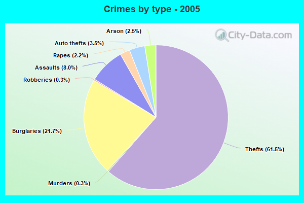 Crimes by type - 2005