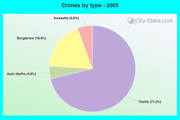 Crimes by type - 2005