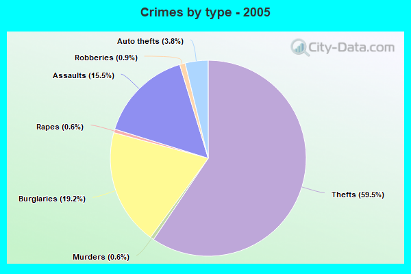 Crimes by type - 2005