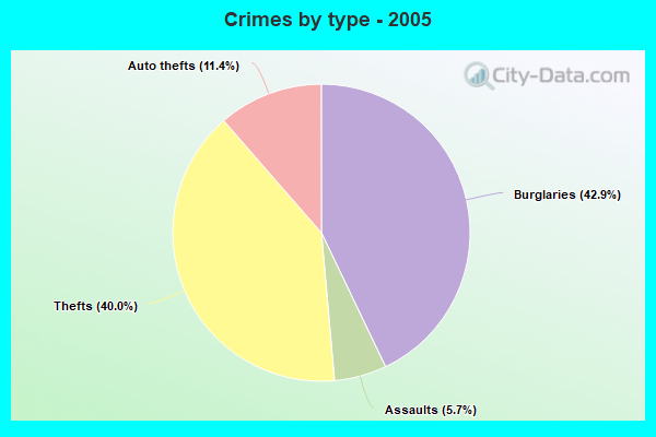 Crimes by type - 2005