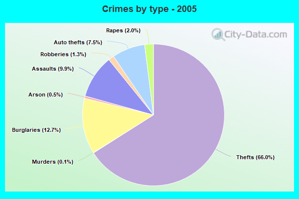 Crimes by type - 2005