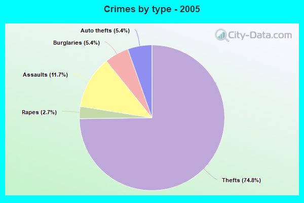 Crimes by type - 2005