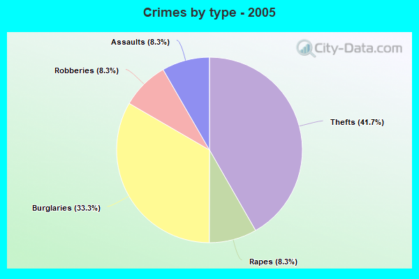 Crimes by type - 2005