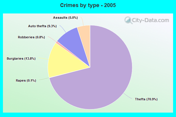 Crimes by type - 2005