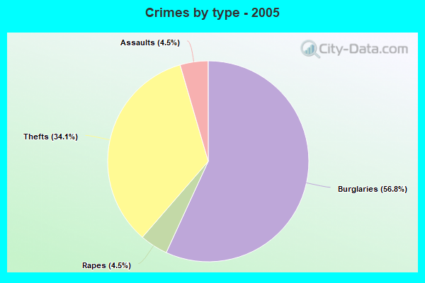 Crimes by type - 2005