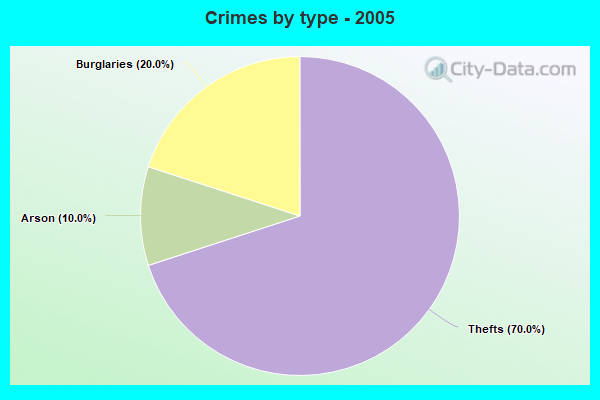 Crimes by type - 2005