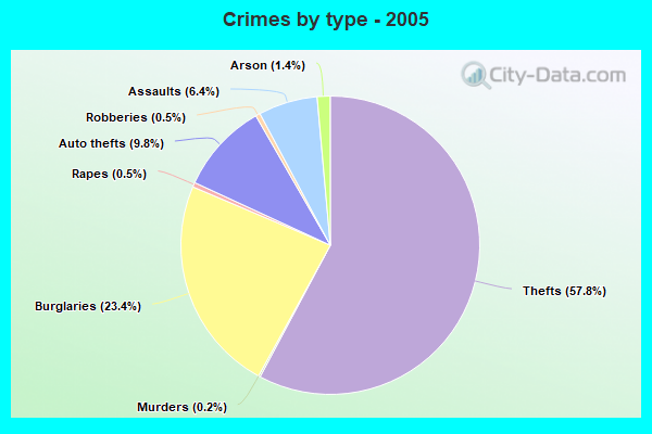 Crimes by type - 2005