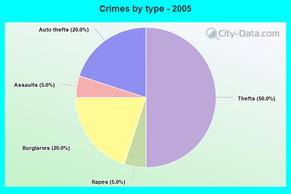 Crimes by type - 2005