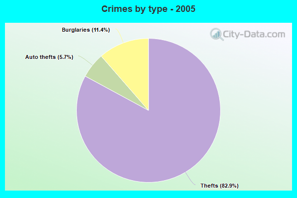 Crimes by type - 2005