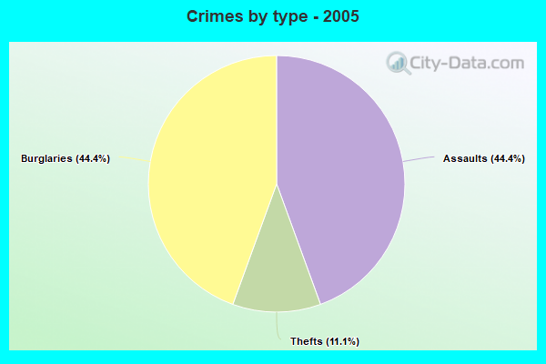 Crimes by type - 2005