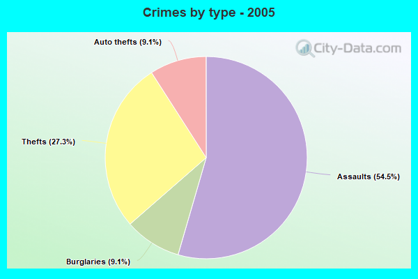 Crimes by type - 2005