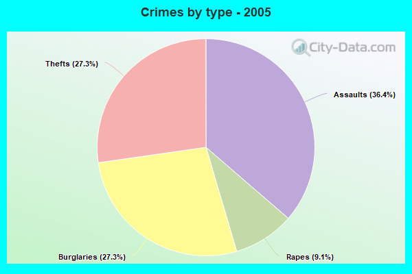 Crimes by type - 2005