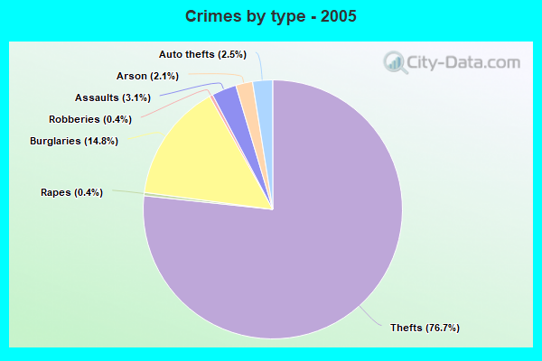 Crimes by type - 2005