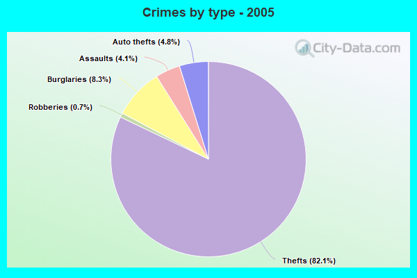 Crimes by type - 2005