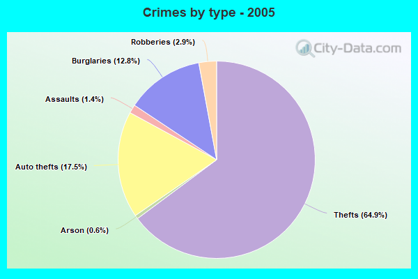 Crimes by type - 2005