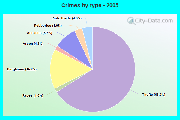 Crimes by type - 2005