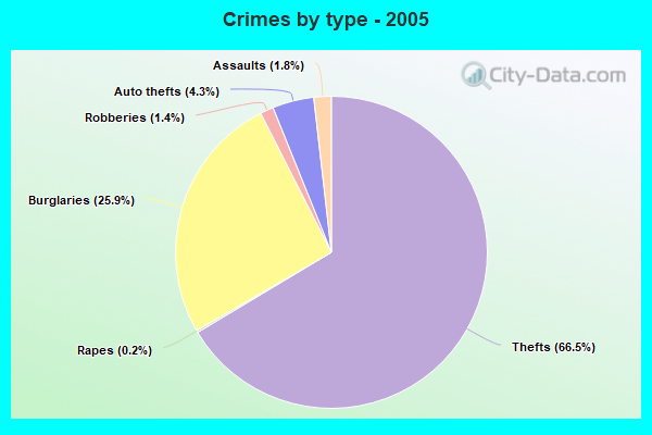 Crimes by type - 2005