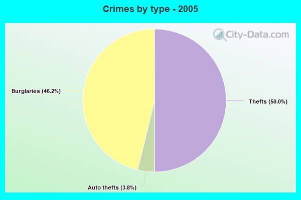 Crimes by type - 2005