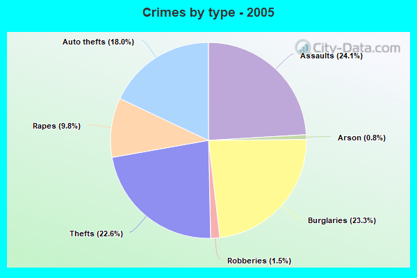 Crimes by type - 2005