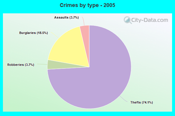 Crimes by type - 2005