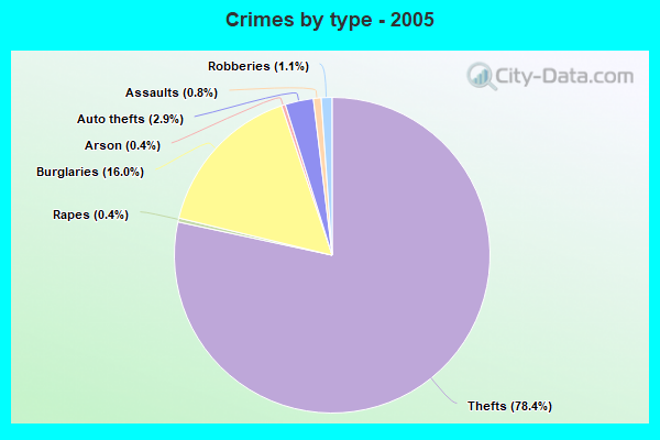 Crimes by type - 2005