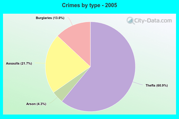 Crimes by type - 2005