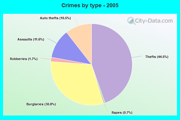 Crimes by type - 2005