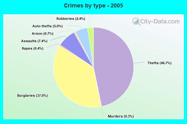 Crimes by type - 2005