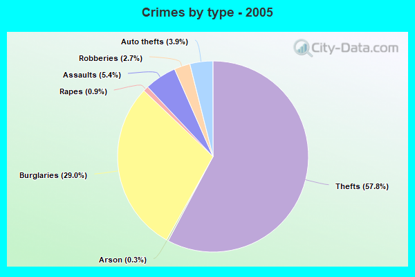 Crimes by type - 2005