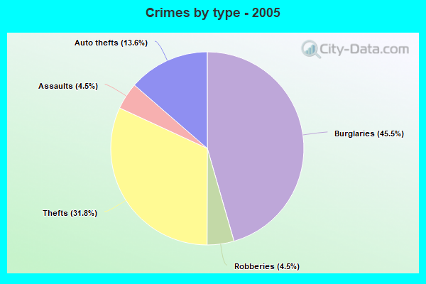 Crimes by type - 2005