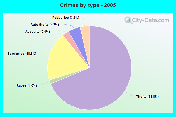 Crimes by type - 2005