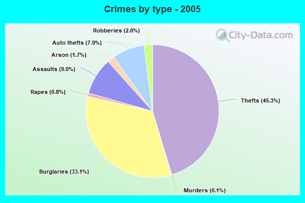 Crimes by type - 2005