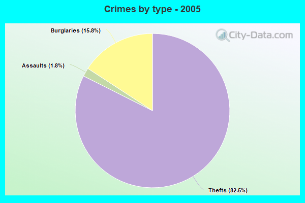 Crimes by type - 2005