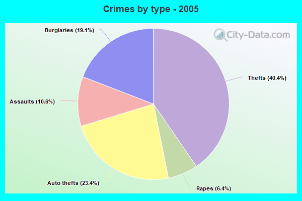 Crimes by type - 2005