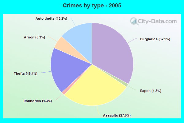 Crimes by type - 2005