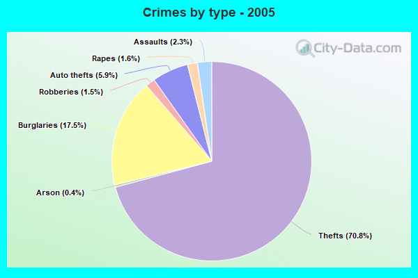 Crimes by type - 2005