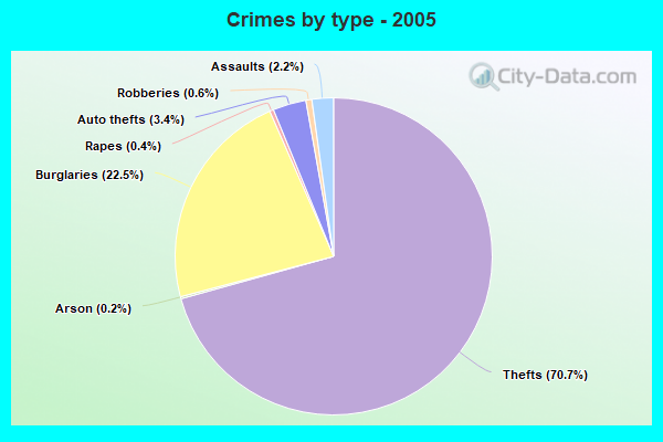 Crimes by type - 2005