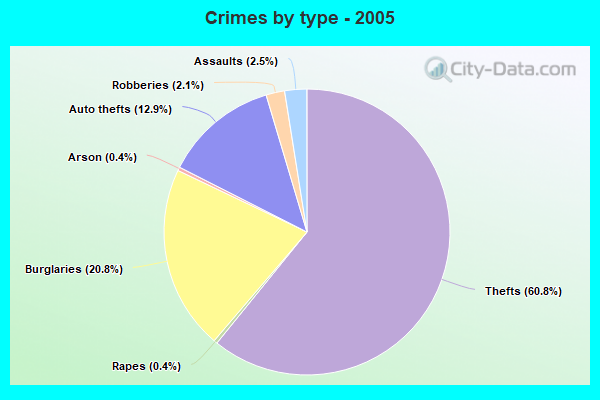 Crimes by type - 2005