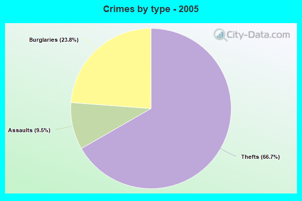 Crimes by type - 2005