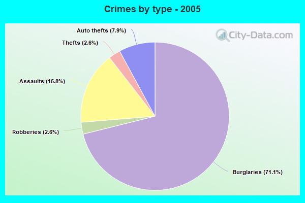 Crimes by type - 2005